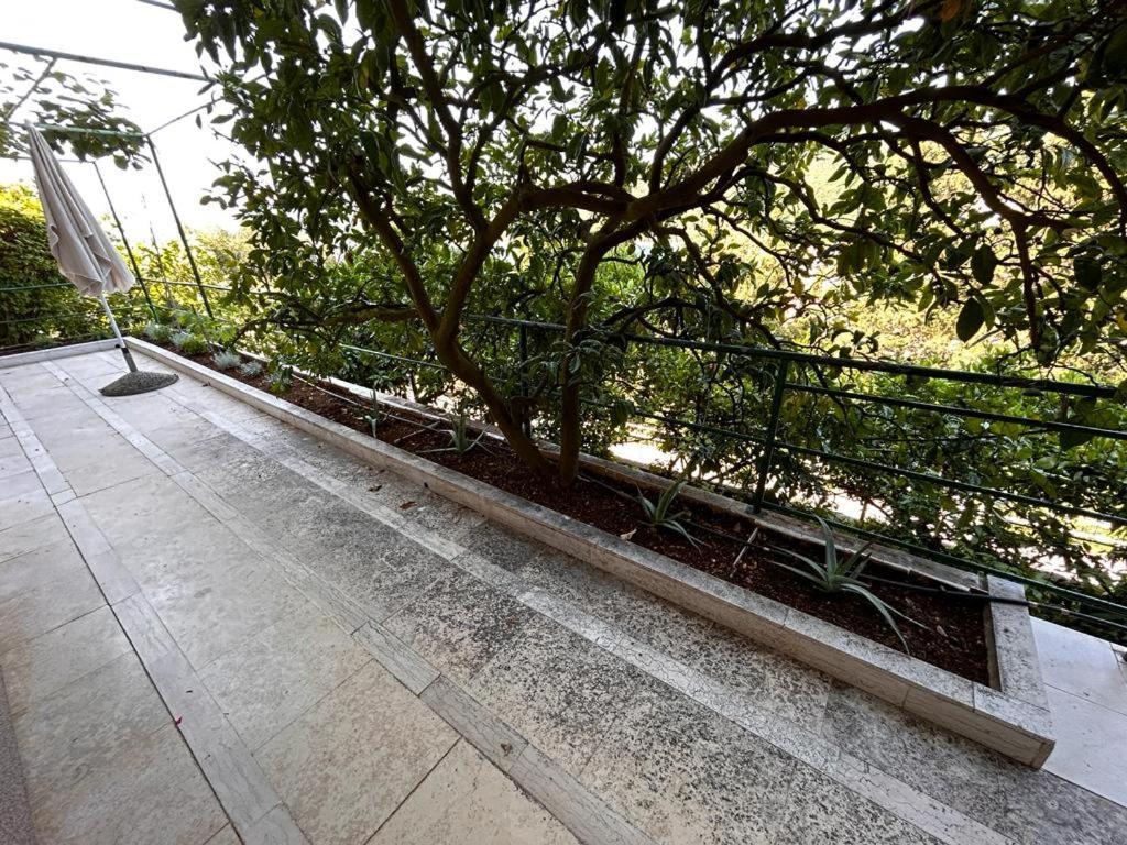 Apartment Near The Sea 650 Rabac Bagian luar foto