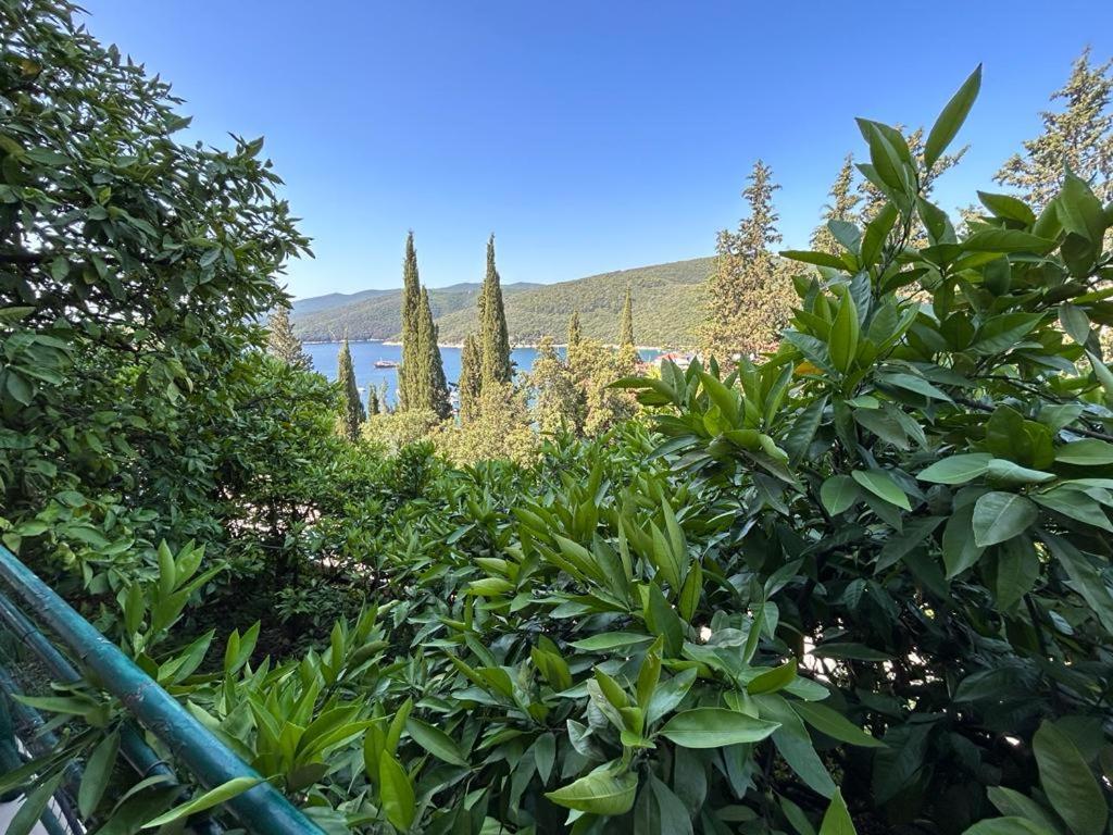 Apartment Near The Sea 650 Rabac Bagian luar foto
