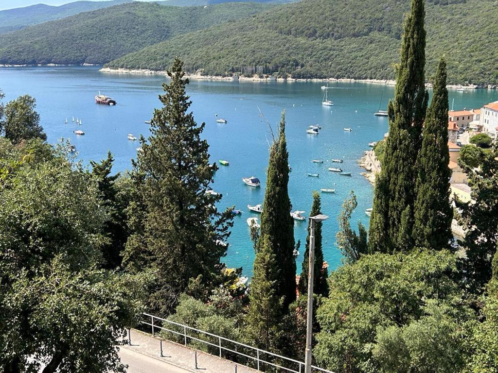 Apartment Near The Sea 650 Rabac Bagian luar foto